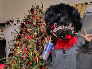 �t���[��